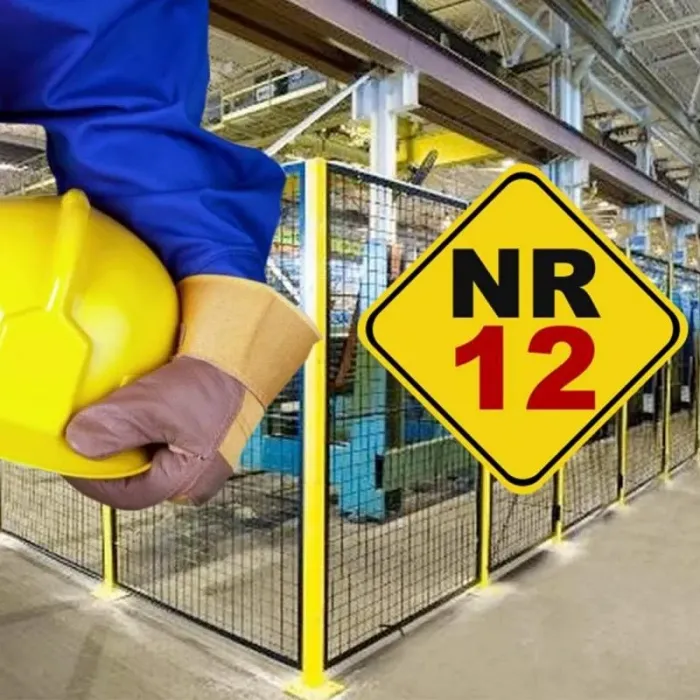 NR 12